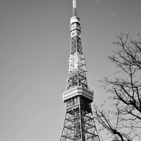 NIKON(ニコン)のレンズ Ai AF Nikkor 28mm f/2.8D で撮影した