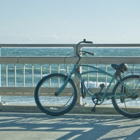 FUJIFILM(富士フイルム)のデジタルカメラFinePix F900EXR で撮影