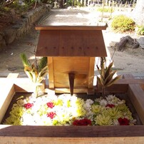 【作例あり】Kodak DC4800 Zoom KODAK(コダック)のデジタルカメラDC4800 Zoom で撮影した写真