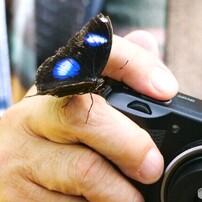 生物園２０２５冬