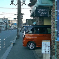 写真句：通せんぼ：NTW554