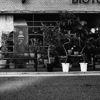 RICOH IMAGING(リコーイメージング)のデジタルカメラRICOH GR で