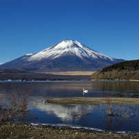 TAMRON(タムロン)のレンズ SP AF 28-75mm F/2.8 XR Di LD