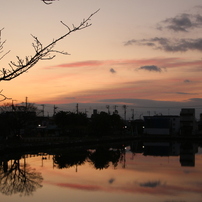 TAMRON(タムロン)のレンズ SP AF 28-75mm F/2.8 XR Di LD