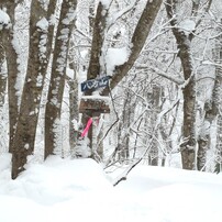 NIKON(ニコン)のデジタルカメラCOOLPIX S6600 で撮影した写真(画像