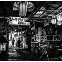 SIGMA(シグマ)のレンズ 10-20mm F3.5 EX DC HSM (ニコン用) で