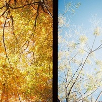 OLYMPUS(オリンパス)のフィルムカメラPEN S で撮影した写真(画像)一覧