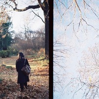 OLYMPUS(オリンパス)のフィルムカメラPEN S で撮影した写真(画像)一覧