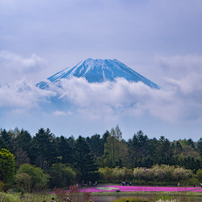 NIKON(ニコン)のレンズ Ai AF Zoom-Nikkor 24-85mm f/2.8-4D IF で撮影