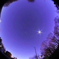 SAMYANG(サムヤン)のレンズ 8mm F3.5 UMC FISH-EYE CS II [キヤノン用