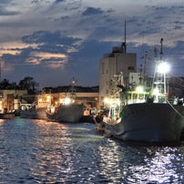 ❤️エモ写に❤️Nikon 18-200mm フィルム風描写✨ AF-S DX NIKKOR 18-200mm f/3.5-5.6G ED VR IIで撮影された写真