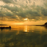 【作例あり】NIKON D2H デジタル一眼レフ 作例あり】NIKON D2H デジタル一眼レフ フルサイズ機のサブ機にいかが