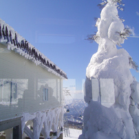 CCDの備忘録リコーGX