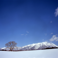 FUJIFILM(富士フイルム)のレンズ FUJINON CM Wide 1:5.6/125mm で撮影