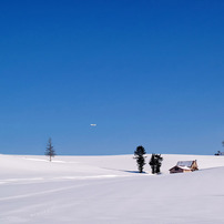 OLYMPUS(オリンパス)のデジタルカメラE-500 で撮影した写真(画像)一覧