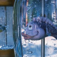 NIKON(ニコン)のフィルムカメラFM10 で撮影した写真(画像)一覧- 写真