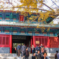 CANON(キヤノン)のデジタルカメラPowerShot A80 で撮影した写真(画像