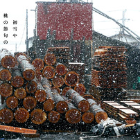 写真句：桃の節句の初雪：NTW587