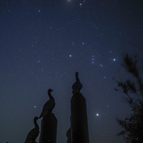 SIGMA(シグマ)のレンズ 15mm F2.8 EX DG DIAGONAL FISHEYE (ﾍﾟﾝﾀｯｸｽ AF