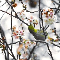 PENTAX(ペンタックス)のレンズ HD PENTAX-D FA645 MACRO 90mmF2