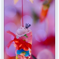 NIKON(ニコン)のレンズ Ai Nikkor 105mm F1.8S で撮影した写真(画像