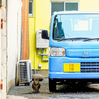 SONY(ソニー)のレンズ Vario-Sonnar T＊ DT 16-80mm F3.5-4.5 ZA