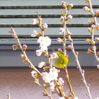 PENTAX(ペンタックス)のレンズ PENTAX-06 TELEPHOTO ZOOM で撮影