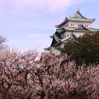CANON(キヤノン)のレンズ EF-S18-55mm F4-5.6 IS STM で撮影した
