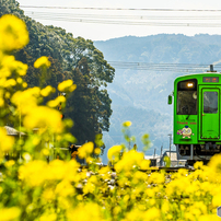 NIKON(ニコン)のレンズ AF-S VR Zoom-Nikkor ED 70-200mm F2.8G
