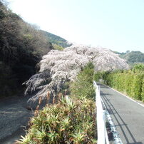 OLYMPUS(オリンパス)のデジタルカメラOLYMPUS STYLUS SH-60 で撮影した