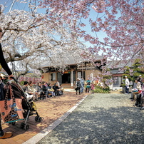 TOKINA(トキナー)のレンズ AT-X 107 DX Fish Eye 10-17mm F3.5