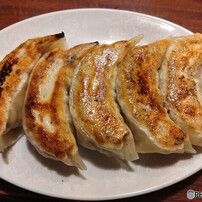 お気に入りの餃子
