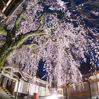 TTARTISAN 11mm F2.8 SONY eマウント　作例あり TTArtisan 11mm f/2.8 fisheye の作例 - Lマウントカメラ情報局