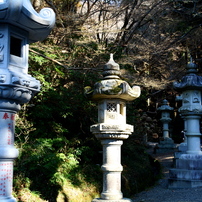 作例/実用Nikon AF-S 18-135mm f3.5-5.6G ED DX Nikon AF-S DX Zoom-NIKKOR 18-135mm f/3.5-5.6G IF-ED | DSLR