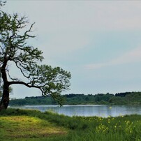 EOS 7D Mark IIで撮影された写真 | 写真検索 | GANREF