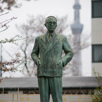 サクラ：2025②