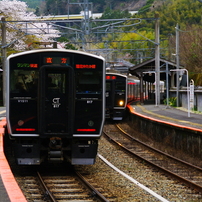 TAMRON(タムロン)のレンズ AF 18-200mm F/3.5-6.3 XR Di II LD