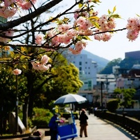 SONY(ソニー)のレンズ Vario-Sonnar T＊ DT 16-80mm F3.5-4.5 ZA