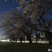 SONY(ソニー)のデジタルカメラサイバーショット DSC-HX60V で撮影した