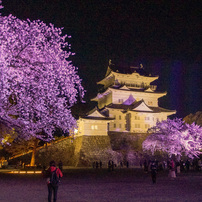 TAMRON(タムロン)のレンズ SP AF 10-24mm F/3.5-4.5 Di II LD