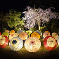 TTARTISAN 11mm F2.8 SONY eマウント　作例あり backend=imagemagick;version=1;