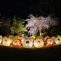 TTARTISAN 11mm F2.8 SONY eマウント　作例あり TTArtisan 11mm f/2.8 fisheye の作例 - Lマウントカメラ情報局