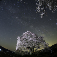TTARTISAN 11mm F2.8 SONY eマウント　作例あり TTArtisan 11mm F2.8 Fisheye レビューと作例 | 下手のライカ好き