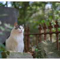YOKOHAMAスケッチ-2025