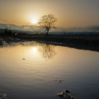 FUJIFILM(富士フイルム)のレンズ フジノンレンズ XF10-24mmF4 R