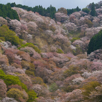 PENTAX(ペンタックス)のレンズ FA645ズーム 150-300mmF5.6ED[IF] で
