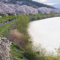 画像三枚♡確認♡ hqdefault.jpg