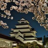 満開の鶴ヶ城