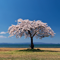 PENTAX(ペンタックス)のレンズ HD PENTAX-DA645 28-45mmF4.5ED