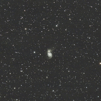 COSINA(コシナ)のレンズ Carl Zeiss Apo-Sonnar T* 2/135 ZE [キヤノン